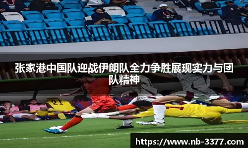 张家港中国队迎战伊朗队全力争胜展现实力与团队精神