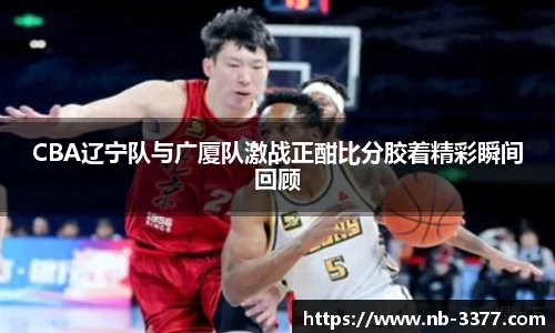 3377体育平台官网
