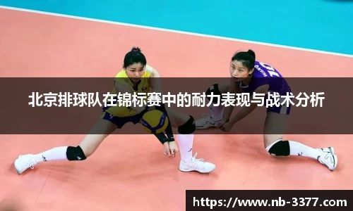 3377体育网页版