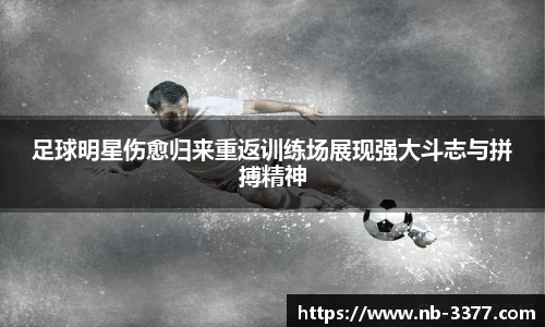 3377体育平台官网